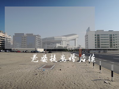 老婆提离婚后续 老婆提离婚后续
