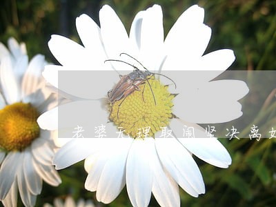 老婆无理取闹坚决离婚 老婆无理取闹坚决离婚
