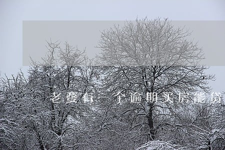 老婆有一个逾期买房能贷款吗 老婆有一个逾期买房能贷款吗