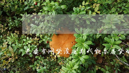 老婆有网贷没逾期我能办房贷吗 老婆有网贷没逾期我能办房贷吗