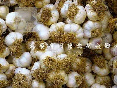 老婆有网贷逾期会影响我车贷吗 老婆有网贷逾期会影响我车贷吗