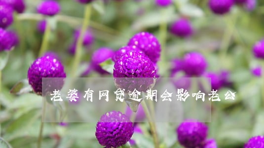 老婆有网贷逾期会影响老公 老婆有网贷逾期会影响老公