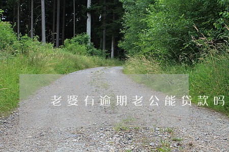 老婆有逾期老公能贷款吗 老婆有逾期老公能贷款吗
