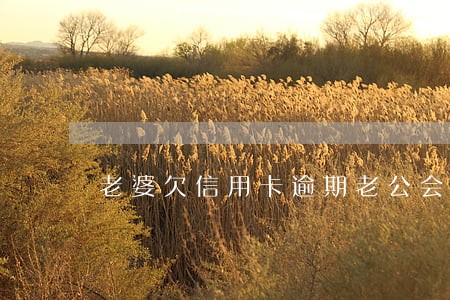 老婆欠信用卡逾期老公会有影响吗 老婆欠信用卡逾期老公会有影响吗