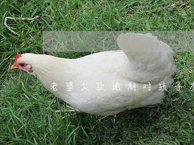 老婆欠款逾期对孩子有影响吗 老婆欠款逾期对孩子有影响吗