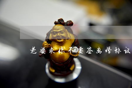 老婆求你不要签离婚协议 老婆求你不要签离婚协议