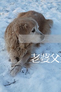 老婆父亲离婚了算家庭成员吗 老婆父亲离婚了算家庭成员吗