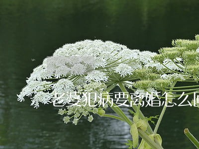 老婆犯病要离婚怎么回事 老婆犯病要离婚怎么回事