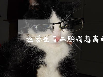 老婆生了二胎我想离婚了 老婆生了二胎我想离婚了