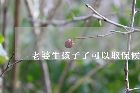 老婆生孩子了可以取保候审吗 老婆生孩子了可以取保候审吗