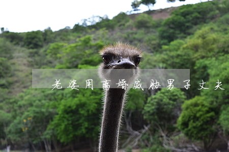 老婆用离婚威胁男子丈夫秒怂 老婆用离婚威胁男子丈夫秒怂