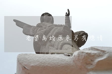 老婆离婚原来另有隐情 老婆离婚原来另有隐情