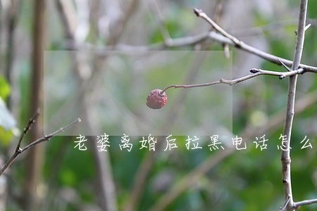 老婆离婚后拉黑电话怎么找 老婆离婚后拉黑电话怎么找