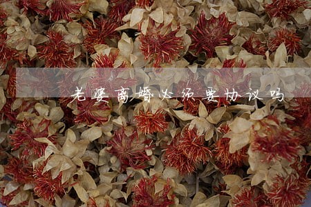 老婆离婚必须要协议吗 老婆离婚必须要协议吗