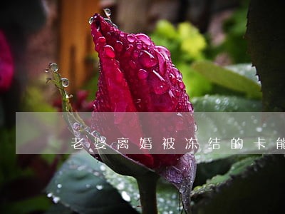 老婆离婚被冻结的卡能解冻嘛