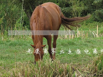 老婆离家出走拒绝离婚 老婆离家出走拒绝离婚