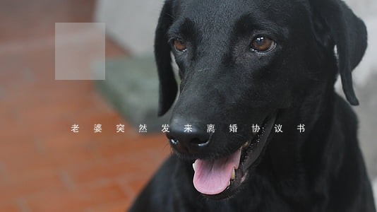 老婆突然发来离婚协议书 老婆突然发来离婚协议书