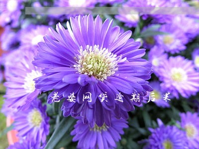老婆网贷逾期后果 老婆网贷逾期后果