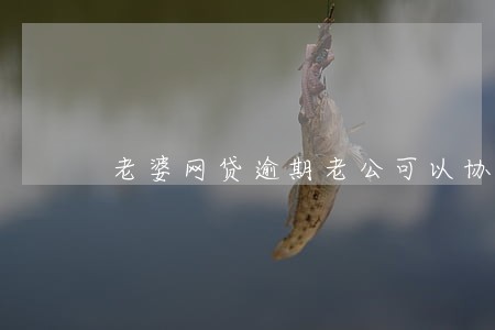 老婆网贷逾期老公可以协商吗