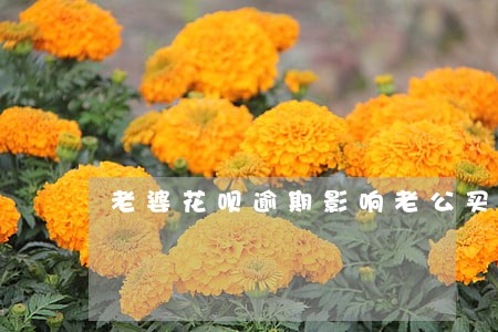 老婆花呗逾期影响老公买车贷款吗 老婆花呗逾期影响老公买车贷款吗