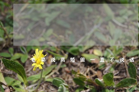 老婆说离婚但一直不说话 老婆说离婚但一直不说话