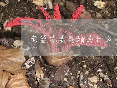 老婆说要离婚为什么一直不离