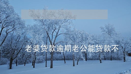 老婆贷款逾期老公能贷款不 老婆贷款逾期老公能贷款不