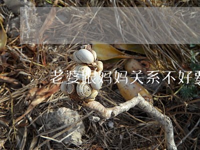 老婆跟妈妈关系不好要离婚吗 老婆跟妈妈关系不好要离婚吗