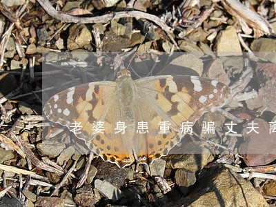 老婆身患重病骗丈夫离婚 老婆身患重病骗丈夫离婚
