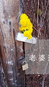 老婆逾期了影响我吗