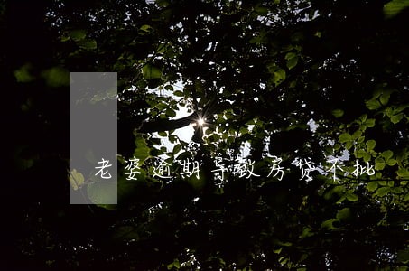 老婆逾期导致房贷不批 老婆逾期导致房贷不批