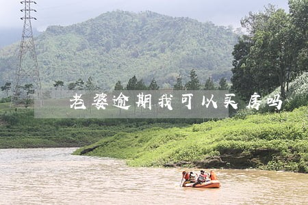 老婆逾期我可以买房吗