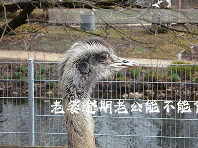 老婆逾期老公能不能贷款 老婆逾期老公能不能贷款