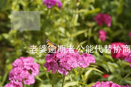 老婆逾期老公能代替协商吗 老婆逾期老公能代替协商吗