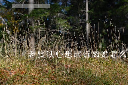 老婆铁心想起诉离婚怎么办 老婆铁心想起诉离婚怎么办