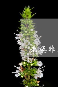老婆非要离婚应该怎么哄