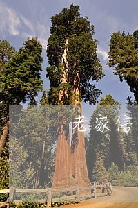 老家信用社贷款逾期了 老家信用社贷款逾期了