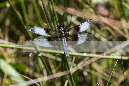 老师下班后关机不违法 老师下班后关机不违法