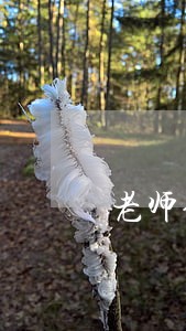 老师体罚学生的法律后果是什么 老师体罚学生的法律后果是什么