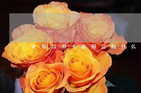 老师信用卡逾期会有什么影响 老师信用卡逾期会有什么影响