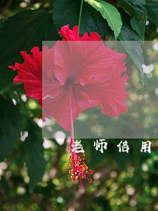 老师信用贷款逾期失信 老师信用贷款逾期失信