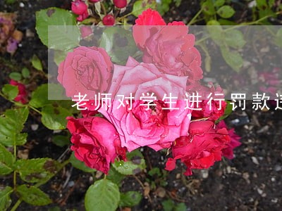 老师对学生进行罚款违法吗 老师对学生进行罚款违法吗