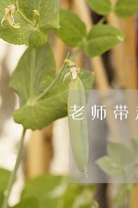 老师带走学校违法吗