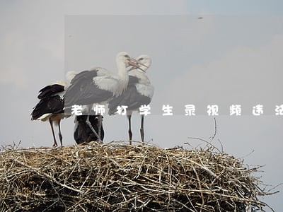 老师打学生录视频违法吗 老师打学生录视频违法吗