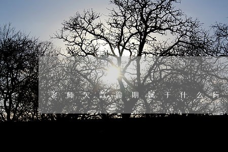 老师欠款逾期属于什么行为 老师欠款逾期属于什么行为