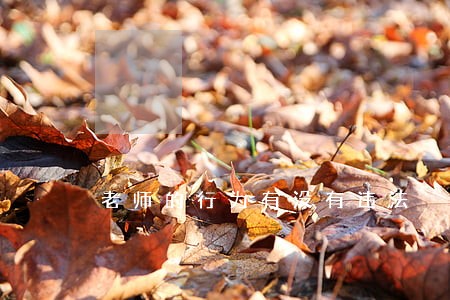 老师的行为有没有违法