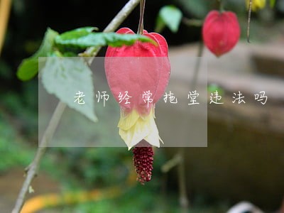 老师经常拖堂违法吗 老师经常拖堂违法吗