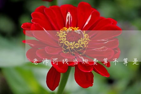 老师罚钱当班费算不算是违法行为 老师罚钱当班费算不算是违法行为