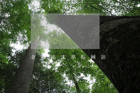 老师违法举报网站