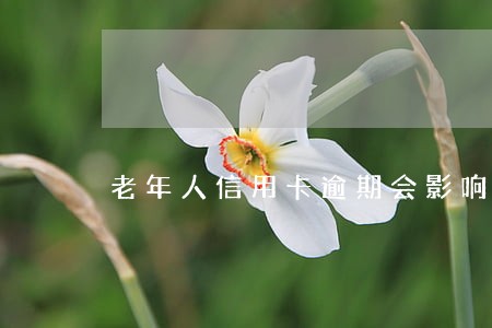 老年人信用卡逾期会影响子孙吗 老年人信用卡逾期会影响子孙吗